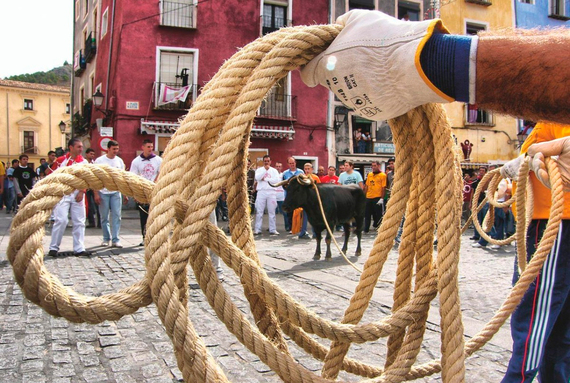 AnimaNaturalis recurre la decisión de archivar denuncia contra actos taurinos celebrados fuera de las fiestas reconocidas en La Ràpita